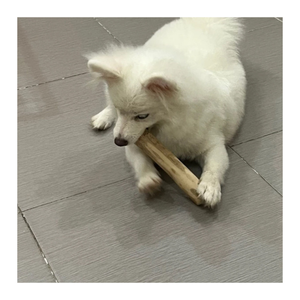 Masticables de madera de café sostenibles para perros-Suministro al por mayor de Vietnam con altos estándares de exportación - Product Image 2