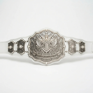 Ceinture de championnat de boxe unisexe en PU, plaquée or, équipement d'entraînement durable pour les arts martiaux, logo personnalisable - Product Image 2