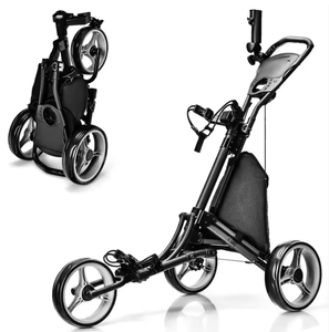 Nouvelle batterie au lithium FW3s-Trolley de haute qualité 2026 prête à être expédiée - Product Image 3