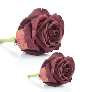 Pétales de Rose Rouge Séchés Bio Grade A1 Sachets de 25Kg-Fleurs Séchées Naturelles Durée de Conservation 3 Ans Export Pakistan | Kohenoor - Product Image 5