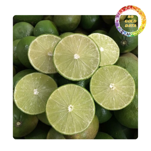Citron vert sans pépins frais et juteux du Vietnam | Directement de l'usine - Product Image 1