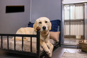 Mini calentador eléctrico de vidrio sin marco de 70W montado en la pared portátil infrarrojo calentamiento rápido protección contra sobrecalentamiento desodorización Solar - Product Image 2