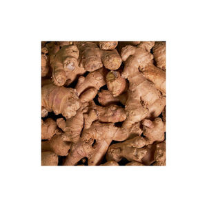 Jengibre para aliviar las náuseas y las náuseas matutinas - Product Image 3