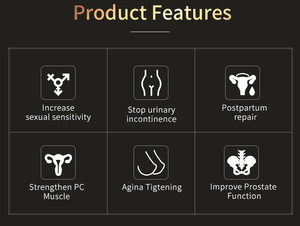 Sistema Profesional de Rehabilitación Postparto, Máquina de Terapia de Estimulación Eléctrica para Músculos del Suelo Pélvico y Extremidades, Fisioterapia - Product Image 3