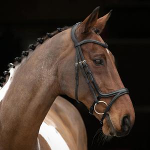 Ngựa độn lớn lên đèn flash da noseband | <span class=keywords><strong>3</strong></span> màu sắc Ngựa da Stanford giải phẫu snaffle cầu ngựa Giải Phẫu - Product Image 1