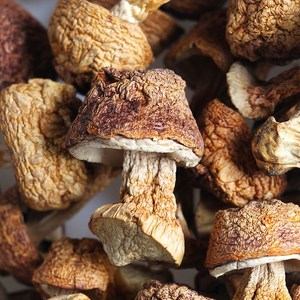 เห็ด Agaricus Blazei ดิบที่ปลูกอย่างประดิษฐ์ขายส่งเห็ด Agarius แห้งคุณภาพสูง - Product Image 4