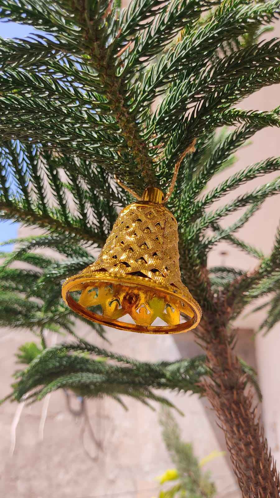 ตามที่แสดงในภาพ