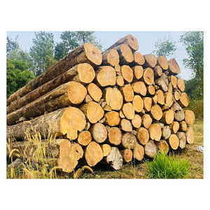 Leña de teca Africana asequible suministrada para pedidos a granel con entrega mundial confiable - Product Image 1