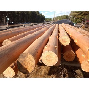 Bûches rondes de qualité supérieure en bois robuste, parfaites pour l'empilage et l'utilisation en extérieur - Product Image 5