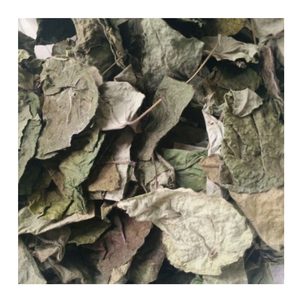 HOJA DE JELLY DE HIERBA VERDE-LA SUONG SAM Origen en Vietnam para hacer postre de pudín de gelatina de hierba verde con precio barato - Product Image 3