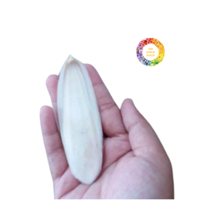 Hueso de sepia de origen vietnamita-100% natural, sin aditivos, suministro a granel disponible - Product Image 6