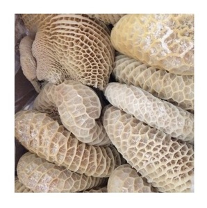 Fournisseur Français Ingrédients Premium Mascota Tripes de Bœuf Vitales avec durée de conservation de 18 Mois en vente à l'Exportation - Product Image 4