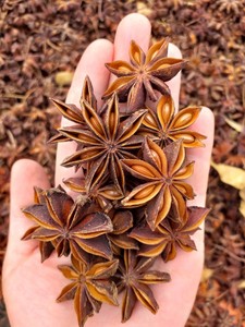 Anis étoilé du Vietnam, nouvelle récolte, haute qualité, fournisseur en gros d'usine pour la cuisine, emballage OEM en petit sac en plastique - Product Image 6