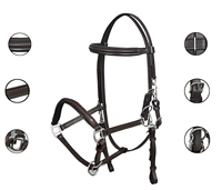Ensemble de bridon en cuir pour cheval avec rênes et peitoral – Équipement équestre durable