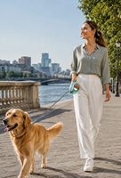 Laisse Rétractable LED en Nylon Rechargeable et Durable pour Chien et Chat avec Lampe Torche, Longueur 3m, Frein à Bouton Unique, Laisse de Promenade Automatique pour Animaux de Compagnie