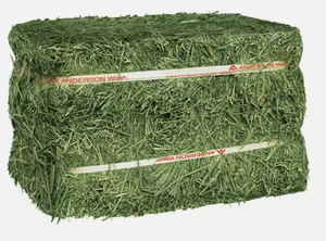 Foin de luzerne et de fléole des prés de haute qualité abordable pour l'alimentation animale à des prix réduits Meilleur fournisseur d'alimentation animale - Product Image 6