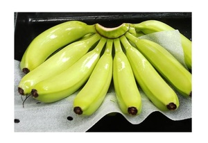 กล้วย Cavendish สดคุณภาพขายส่งผู้ผลิตกล้วยตามสั่งเพื่อการขายที่กว้างขวางทั่วโลก - Product Image 5