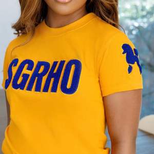 SGRho Poodle Sleeve Chenille Tee Sigma Gamma Rho Sorority Apparel Manches brodées Caniche Mascotte Greek College Style Tee - Product Image 3
