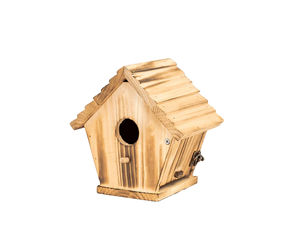 Mangeoire à oiseaux en bois à motif solide et à finition élégante - Product Image 1