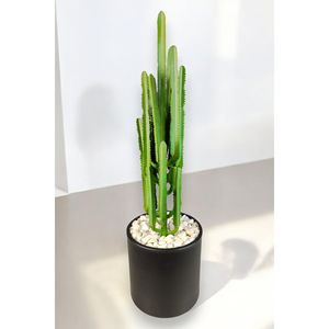 Cactus Annaflower 100cm - Product Image 3