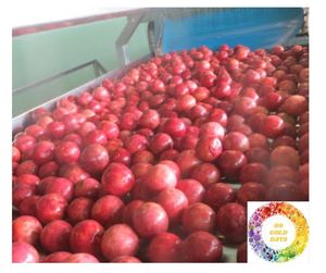 Exportation du Vietnam: Produit chaud de fruit de la passion congelé IQF de qualité supérieure-Emballage en vrac de fruit de la passion congelé juteux direct - Product Image 3