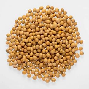 Fresh Bulk Soybean <b>Seeds</b> Wholesale Factory Price Soybean <b>Seeds</b> For Food Processing And Animal Feed Supply - Product Image 1