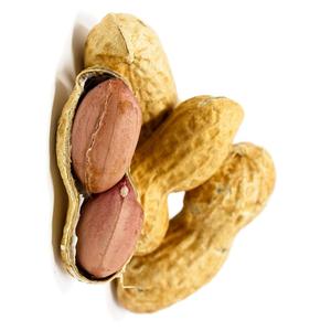 High Quality Organic Natural Shelled <b>Peanuts</b> Available at Competitive Prices - Product Image 1