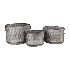 Maceta grande galvanizada con lados reforzados para plantar arbustos grandes o árboles pequeños en jardín o patio - Product Image 4