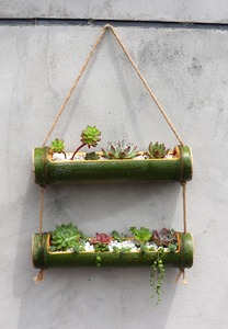 Vietnam Pots en tube de bambou bon marché pour la culture de plantes ornementales cactus succulentes bonsaïs et décor de jardin Pots de fleurs et jardinières - Product Image 2