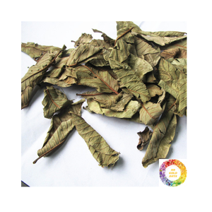 Té de hojas de guayaba de alta calidad al por mayor, mezcla de hierbas naturales, suministro a granel, embalaje personalizado para recetas de té fresco, caliente o helado - Product Image 6