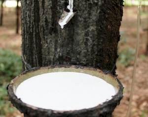 CAOUTCHOUC LATEX TOUT NATUREL POUR DES PRODUITS PREMIUM/EXCELLENT ÉTIRAGE ET ROBUSSITÉ/TESTÉ ET CERTIFIÉ/FABRIQUÉ AU VIETNAM - Product Image 2