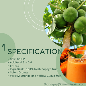 Purée de papaye 100% fraîche stérilisée sans sucre, emballage en vrac par KIM MINH INTERNATIONAL Vietnam - Product Image 3