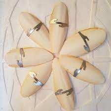 Os de seiche lavés séchés pour l'alimentation des oiseaux/Prix compétitif et haute qualité/Shyn Tran - Product Image 5