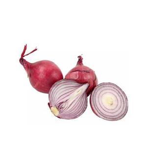 Fresh <b>Red</b> Onion Whole <b>Bulb</b> Aromatic Vegetable for Retail Grocery and Food Service - Product Image 1