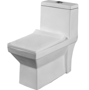 Inodoro de cerámica blanca de una pieza con proceso de instalación fácil y sistema de descarga ecológico de India - Product Image 1