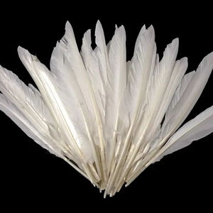 Plumes de canard teintes écologiques Plumes décoratives assorties en gros en vrac pour bijoux à bricoler soi-même, projets scolaires, festivals culturels - Product Image 1