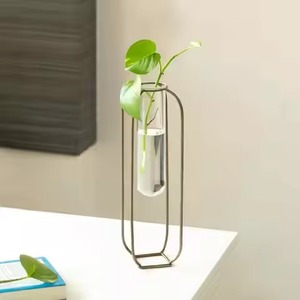 Maceta/Jarrón de Tubo de Ensayo Moderno Tallado a Mano en Hierro con Orificio de Drenaje, Diseño Ecológico para Macetas de Flores para el Hogar - Product Image 1