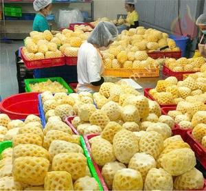 Ananas en conserve de haute qualité au meilleur prix, en sirop léger - 3 kg / Hazel par Viet Delta, durée de conservation de 3 ans, prêt à consommer - Product Image 5