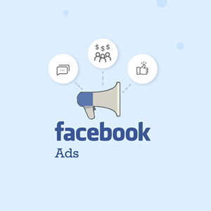 Offrire annunci Facebook economici/annunci Google servizi specialistici per società di istruzione