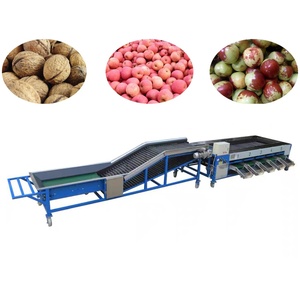 Fresh Produce Packing House Rotary Drum Classifier for Efficient Fruit Sorting - Product Image 6