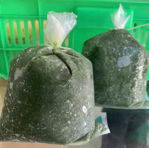 Hojas de mandioca congeladas al por mayor de Vietnam, perfectas para guisos, sopas y platos africanos tradicionales - Product Image 4