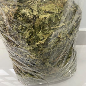 Natural Vietnam Dried Papaya Leaves Carica Papaya Bulk Tea <b>Material</b> Direct Factory Custom <b>Packaging</b> - Product Image 1