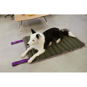 Solid Pattern Travel Mattress - Product Image 2