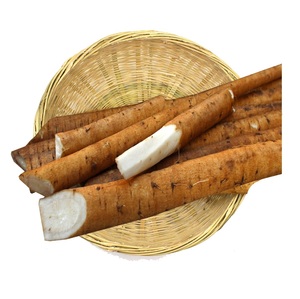 Meilleur prix d'usine pour les légumes frais naturels Bardane Disponible en grande quantité - Product Image 2