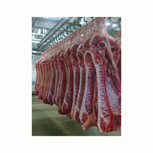 Carne de cerdo congelada lista para enviar cualquier puerto de su elección de alta calidad carne de cerdo congelada disponible carne de cerdo congelada cortada en 4 vías - Product Image 3