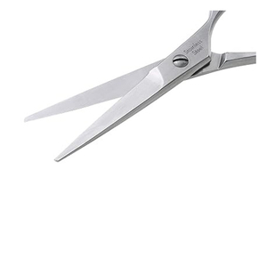 Tijeras profesionales de acero inoxidable para el cabello, herramienta de corte de peluquero plateada personalizada con punta de hoja afilada para uso de belleza - Product Image 5