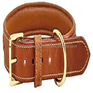 Collar de perro ajustable de alta resistencia con anillo en D de Metal y hebilla, collar y accesorios para mascotas de una sola capa hechos a medida - Product Image 1