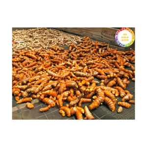 Dried Whole and Slice <b>Turmeric</b> authentic dried <b>roots</b> Vietnam source ideal for curry flavoring spice ingredient and trade supply - Product Image 1