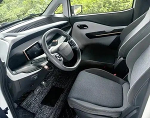 Woling Neno 2021, Portaequipajes Metálico Automático, Asientos de Cuero, Batería de Litio, Características Premium - Product Image 6