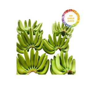 Premier fournisseur de bananes Cavendish du Vietnam 99 données sur l'or exportant des produits de qualité supérieure avec un goût constant - Product Image 1